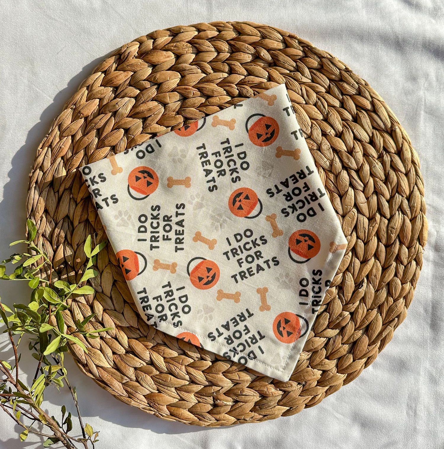 Halloween & Fall Collection