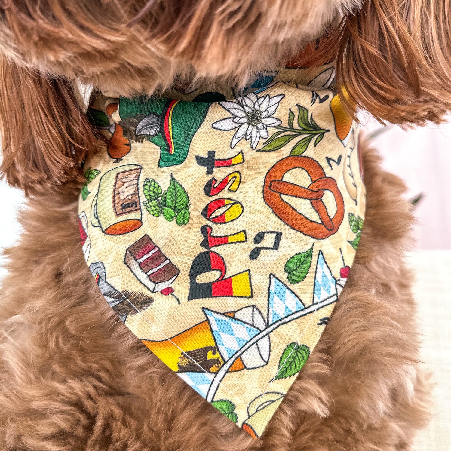 Germany & Oktoberfest Collection