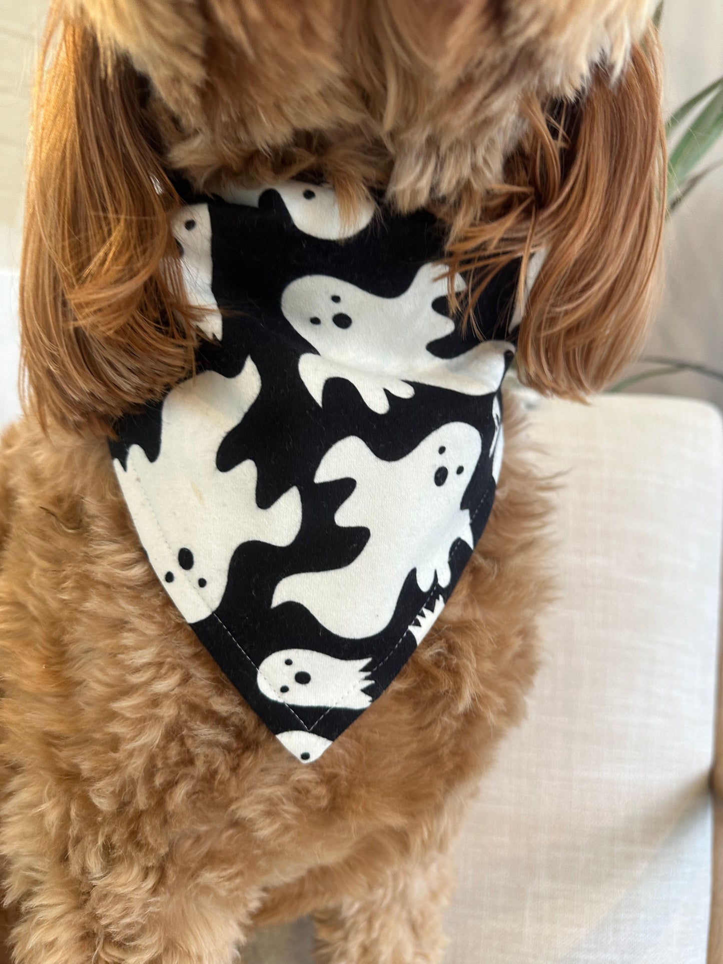 Glow in the Dark Ghosts