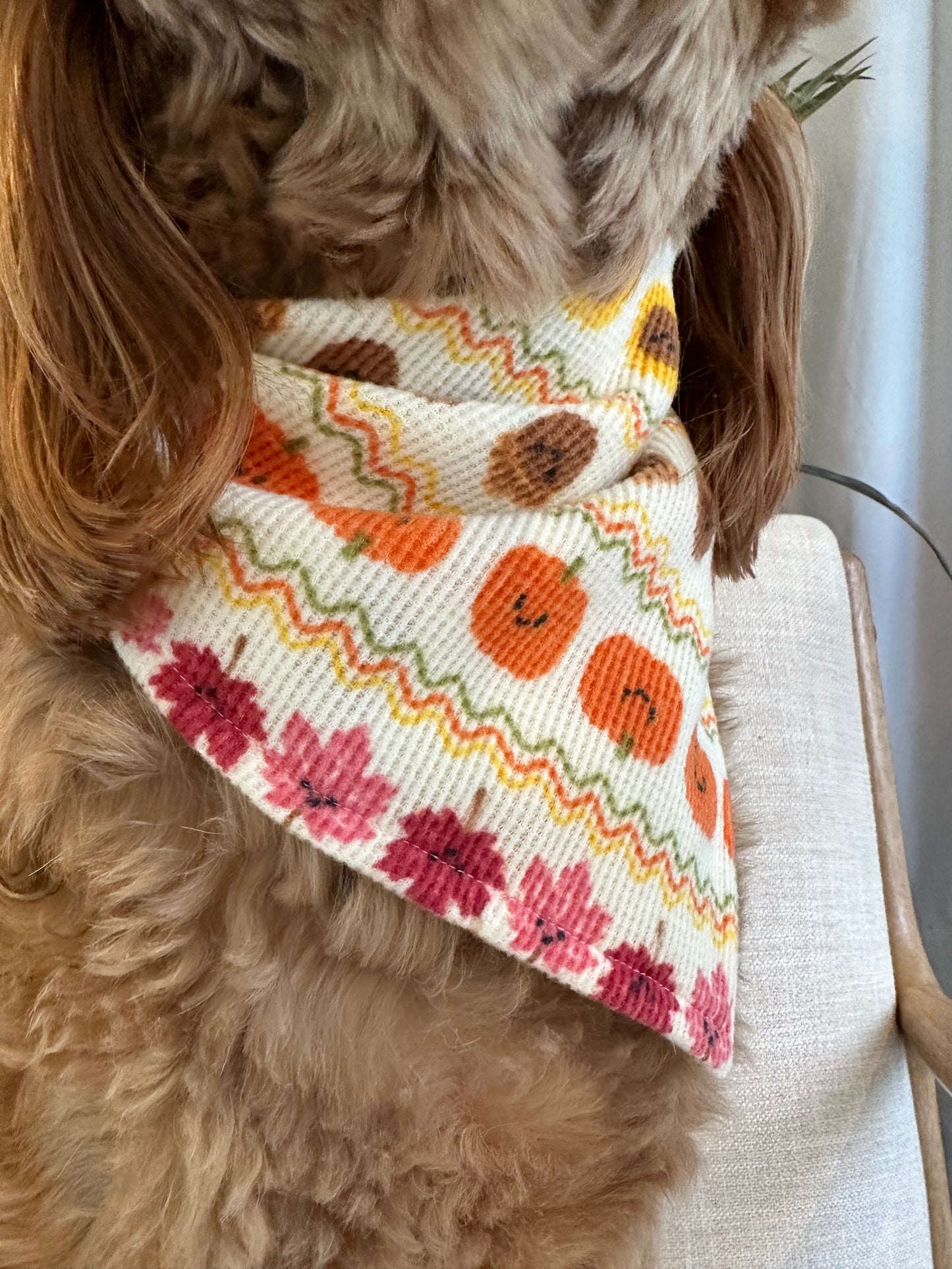Fall Sweater