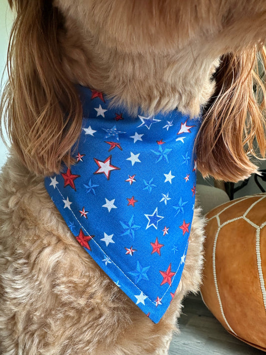 Stars: Snap-On Dog Bandana