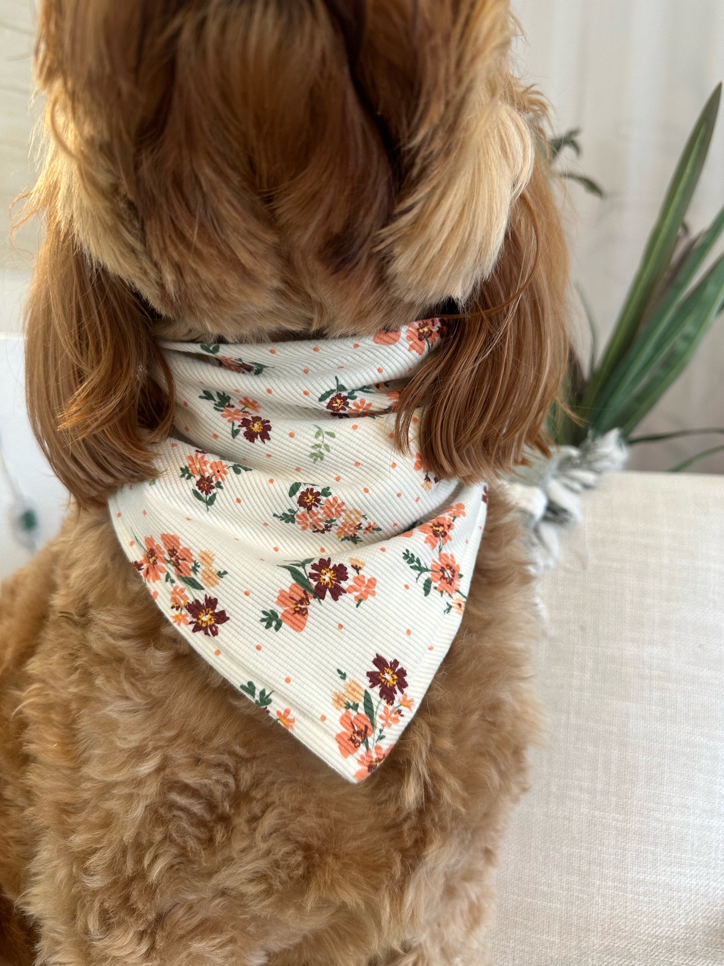 Spring Bloom: Snap-On Dog Bandana